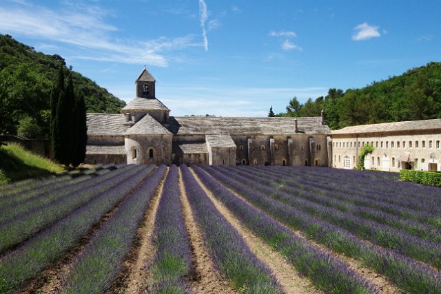374 Abbaye de Senanque.jpg